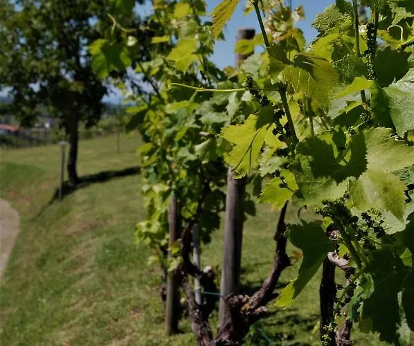La Casa Del Tiglio 4*